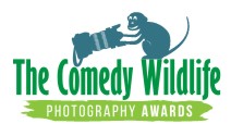 Конкурс Смешных Фото Животных