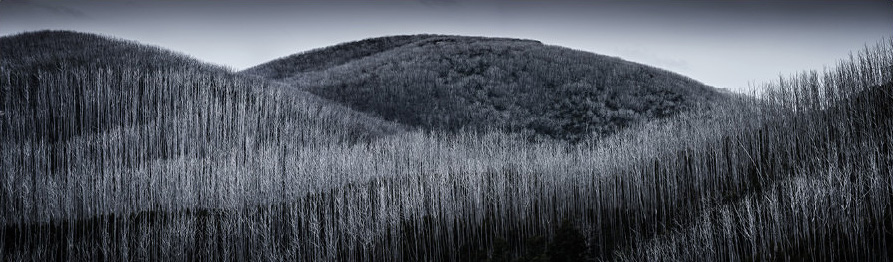 Tom Putt (Австралия). ТОП-101 International Landscape Photographer of the Year 2014