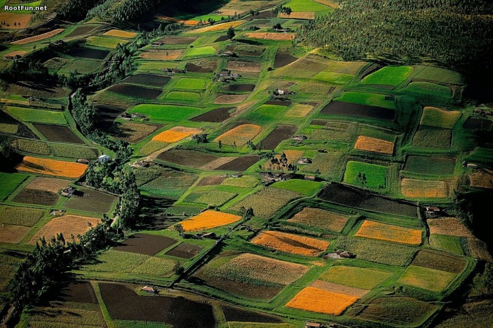 Сельскохозяйственный ландшафт возле Кито. Эквадор. Фото Яна Артюс-Бертрана