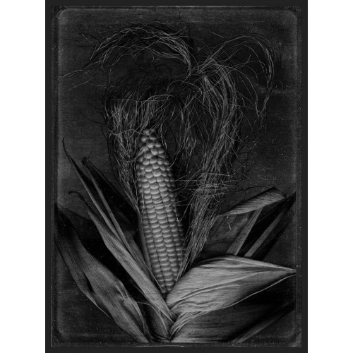 Corn. RAY_SPENCE(Великобритания)