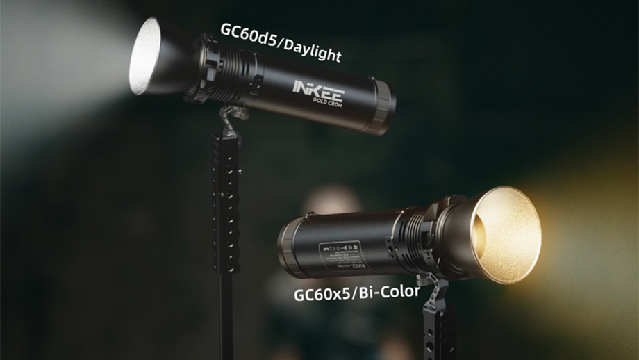 Компактная светодиодная лампа INKEE GC60 