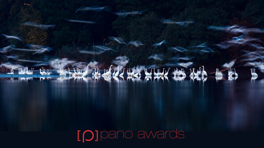 Epson Pano Awards 2024: приём заявок до 15 июля