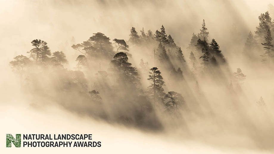 Natural Landscape Photography Awards 2024: приём работ по 31 мая