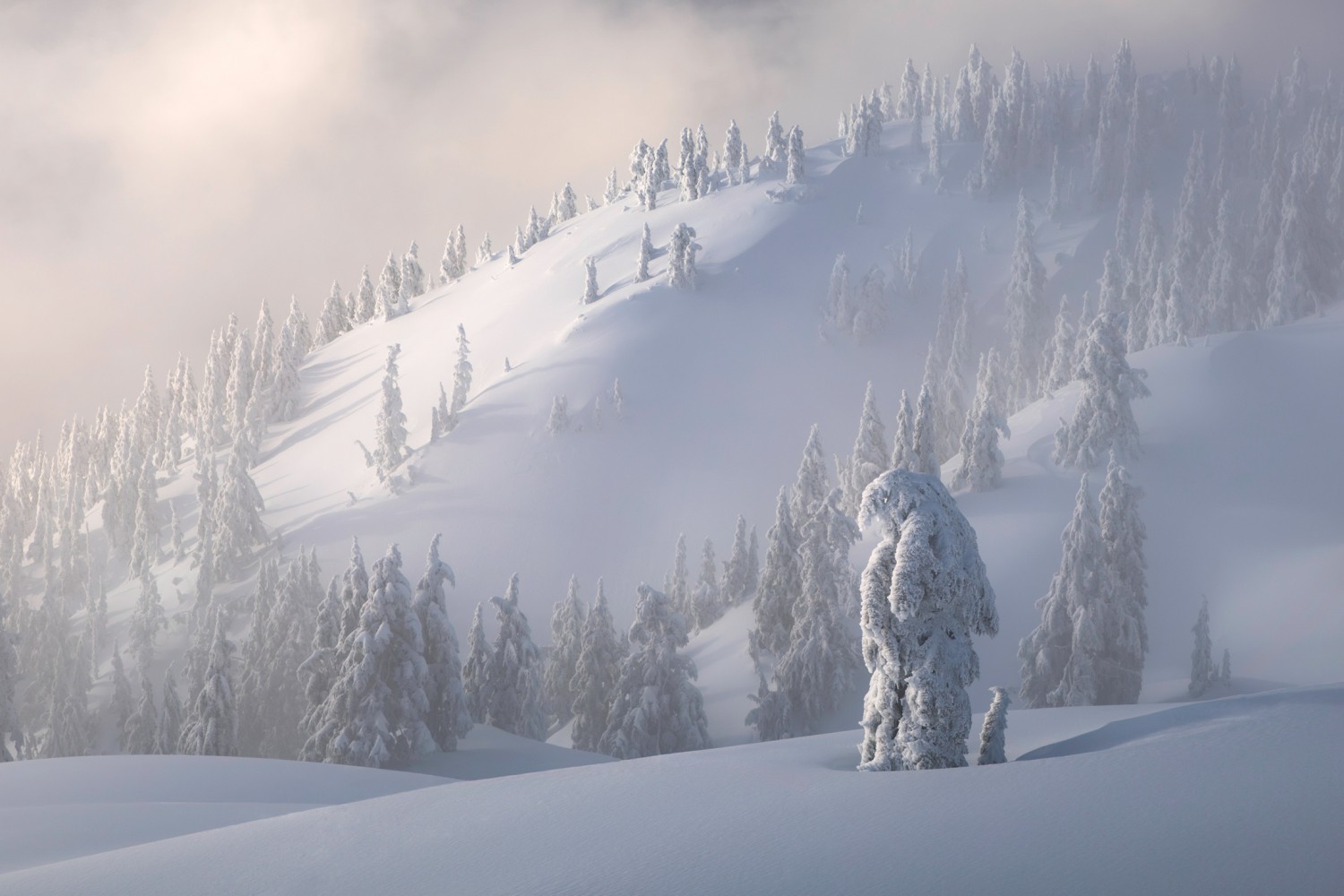 Лучшие природные фотопейзажи 2023 года по версии конкурса Natural Landscape  Photography Awards (NLPA) | PHOTOWEBEXPO